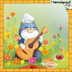 آشپزی با مومو 