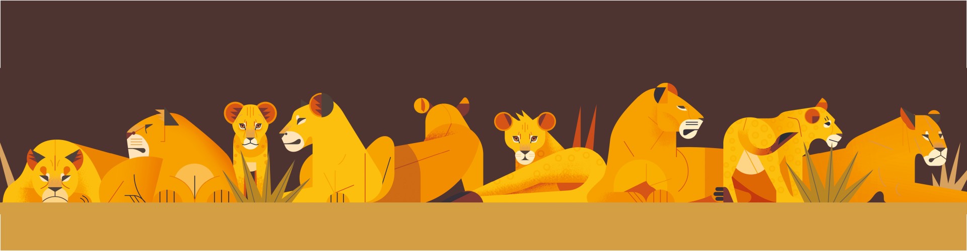 دنیای رنگارنگ گربه‌ها